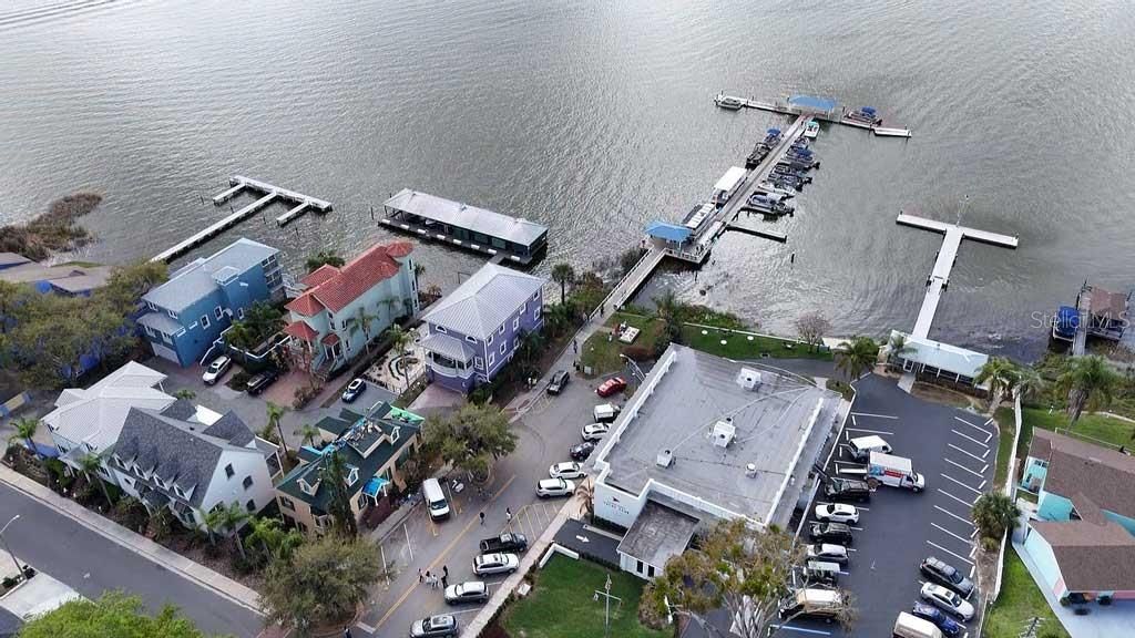 Image 50 of property listing at 15950 SPLENDID OAKS LANE, Tavares, FL 32778