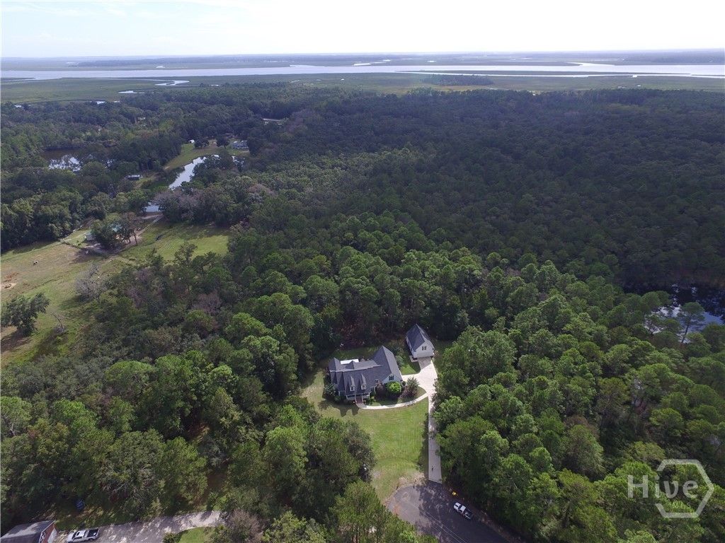 Image 46 of property listing at 430 Fancy Court, Richmond Hill, GA 31324
