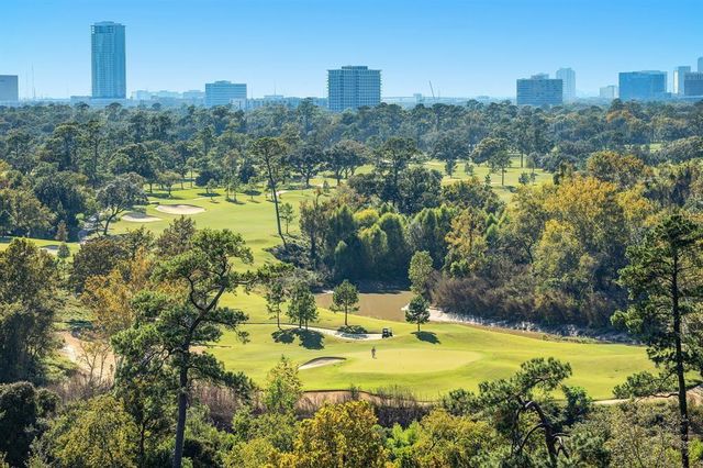 101 Westcott Street 802, Houston, TX 77007