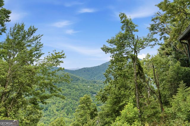 169 Dancing Bear Trail, Clayton, GA 30525
