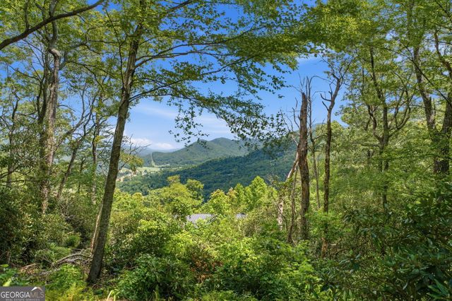 169 Dancing Bear Trail, Clayton, GA 30525