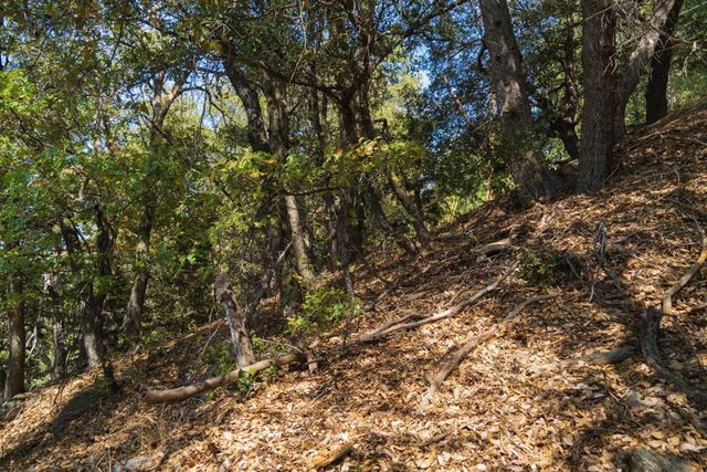 0 Chillon Drive, Crestline, CA 92325