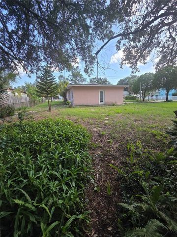 350 N LEVIS AVENUE, Tarpon Springs, FL 34689