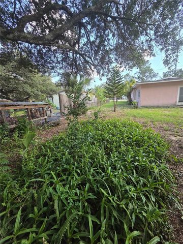 350 N LEVIS AVENUE, Tarpon Springs, FL 34689