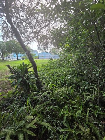350 N LEVIS AVENUE, Tarpon Springs, FL 34689