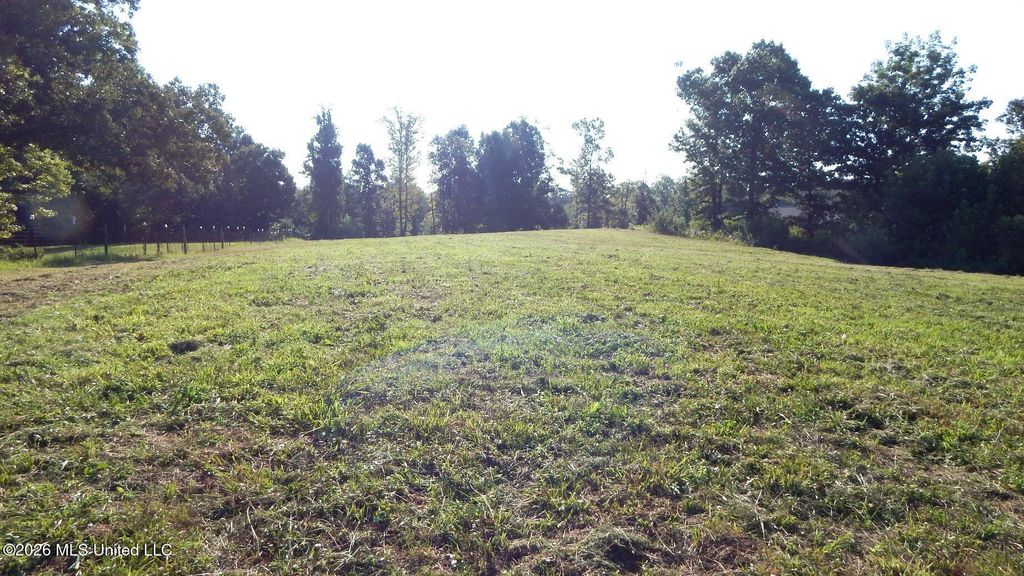 400 Arkabutla Dam Road, Coldwater, MS 38618 — photo 3