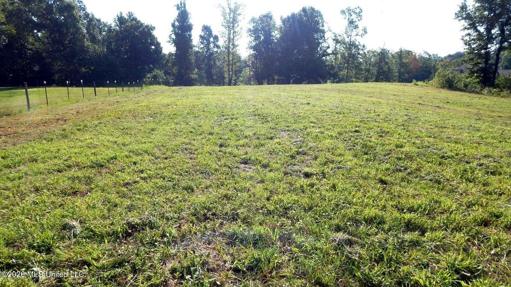 400 Arkabutla Dam Road, Coldwater, MS 38618 — photo 4