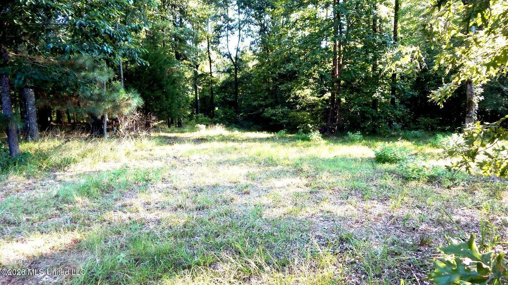 400 Arkabutla Dam Road, Coldwater, MS 38618 — photo 5