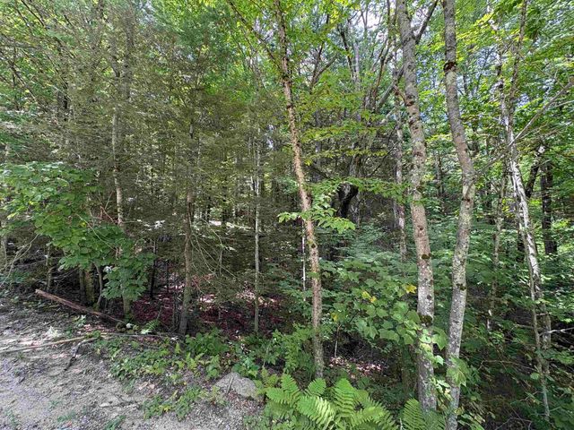Craig Road, Antrim, NH 03440
