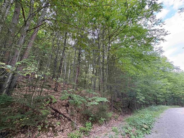 Craig Road, Antrim, NH 03440