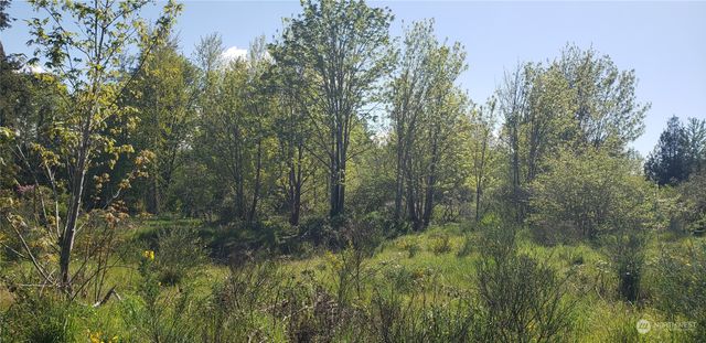 10010 219th Street Court E, Graham, WA 98338
