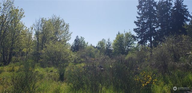 10010 219th Street Court E, Graham, WA 98338