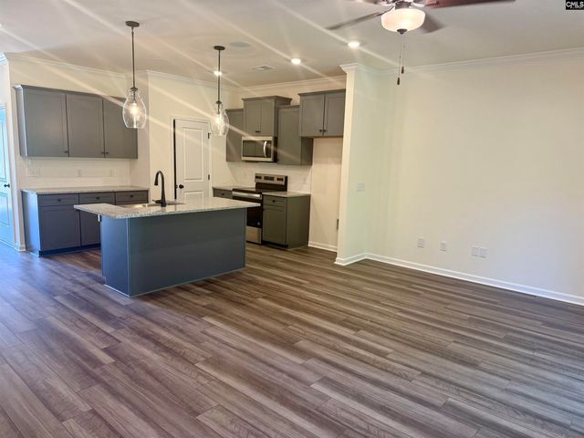 233 Forgotten Trail, Lexington, SC 29072