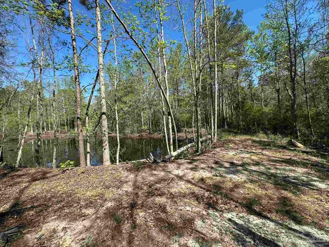 115 Cedar Ave, Frisco City, AL 36445