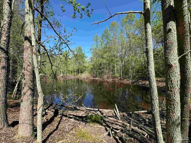 115 Cedar Ave, Frisco City, AL 36445