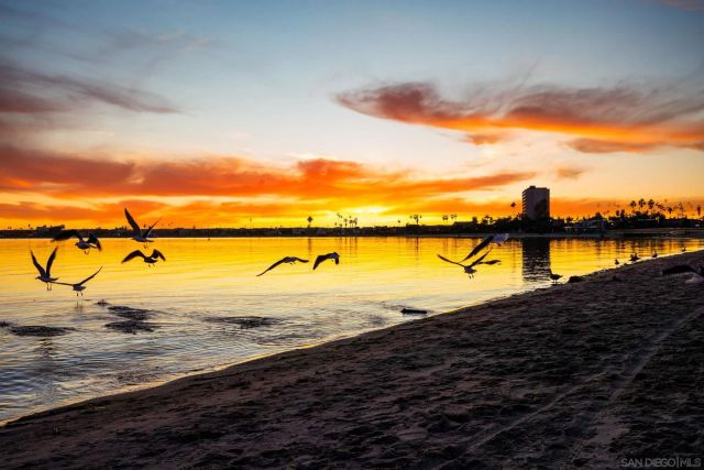 1221 Parker Pl 21, San Diego, CA 92109