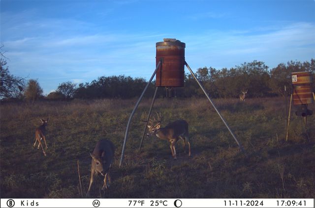 2474 County Road 371, Dublin, TX 76446