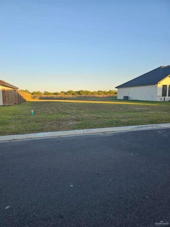 1020 Broken Arrow Drive, Alamo, TX 78516