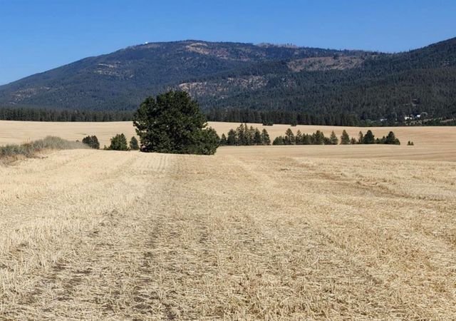 Jackson S 8006 Rd, Mica, WA 99023