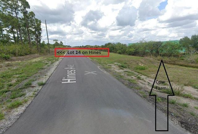 1003 Hines Avenue, Alva, FL 33920