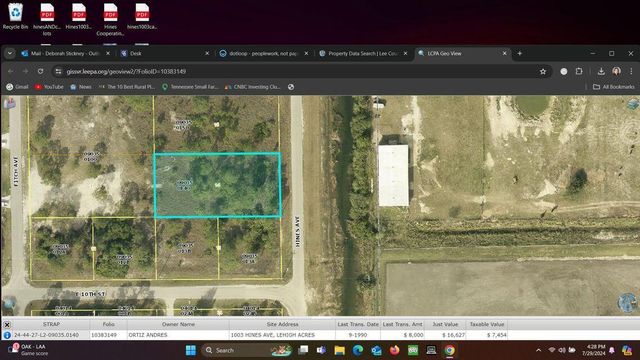 1003 Hines Avenue, Alva, FL 33920