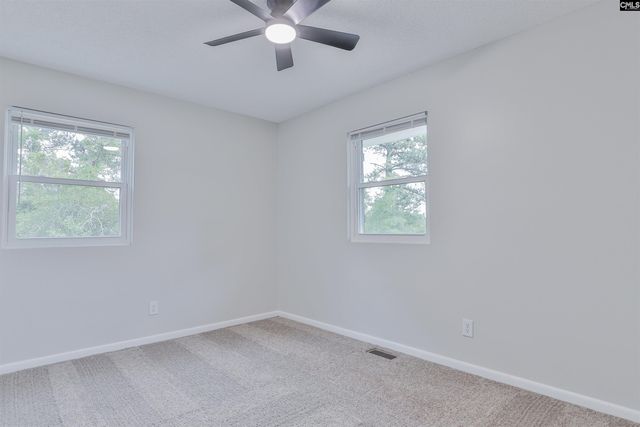 3209 Old Charleston Road, Gilbert, SC 29054