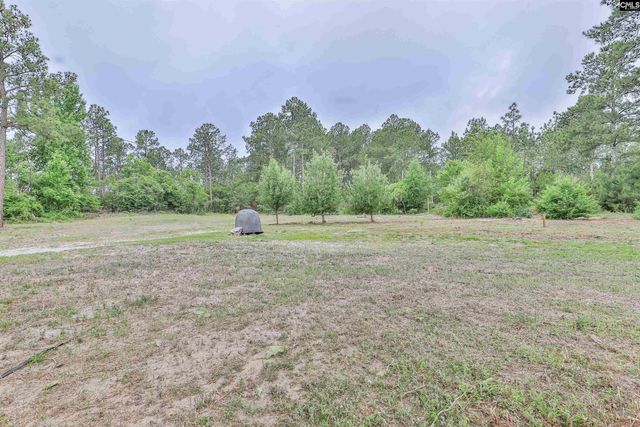 3209 Old Charleston Road, Gilbert, SC 29054