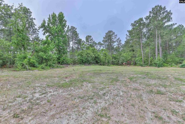 3209 Old Charleston Road, Gilbert, SC 29054