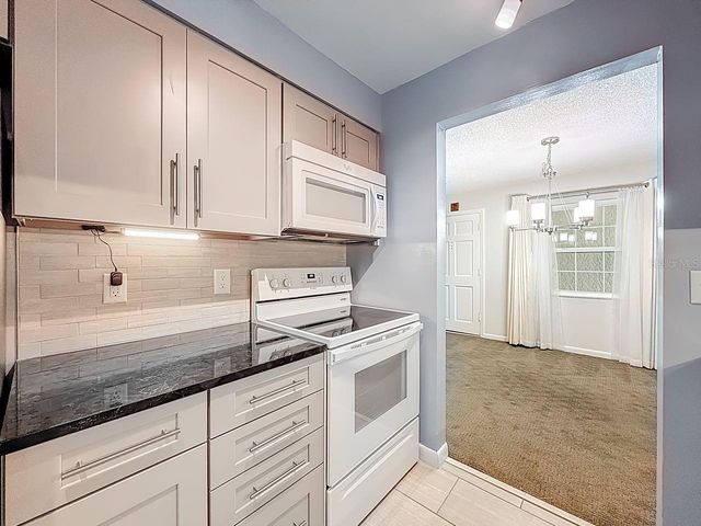 4325 AEGEAN DRIVE 204B, Tampa, FL 33611