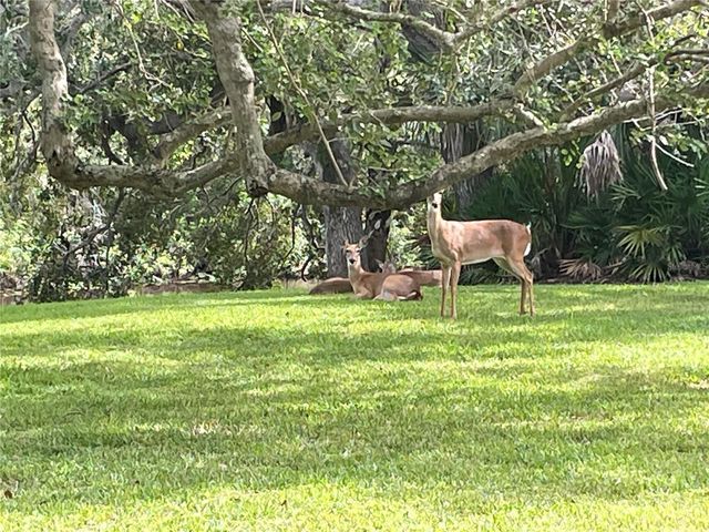 4133 CARRIAGE DRIVE 18, Sarasota, FL 34241