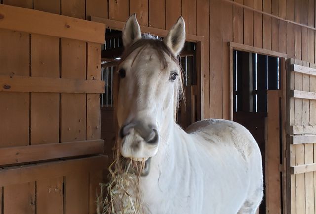 1085 Thunder Ridge Dr, South Pittsburg, TN 37380