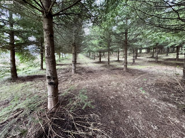 Everett Dr S, Salem, OR 97306