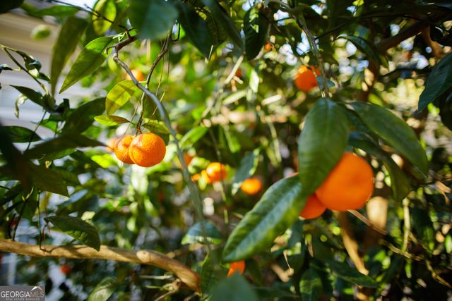 1064 Ridge Road, Valdosta, GA 31605