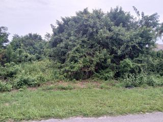 4437 SW Cacao Street, Port St Lucie, FL 34953