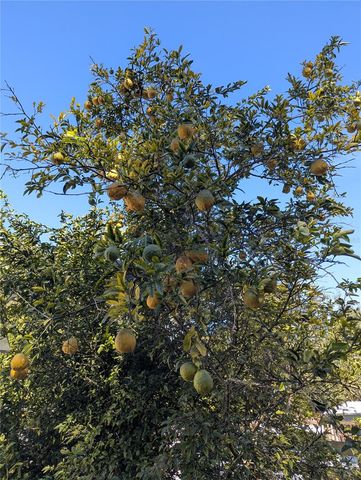 397 SE 902ND STREET, Old Town, FL 32680