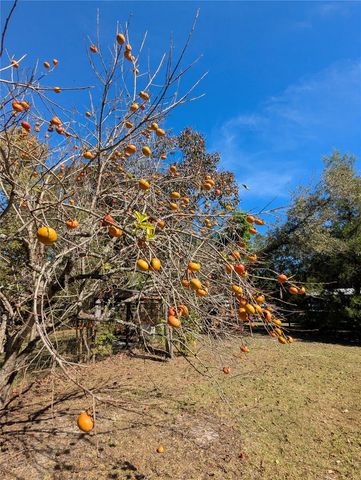 397 SE 902ND STREET, Old Town, FL 32680