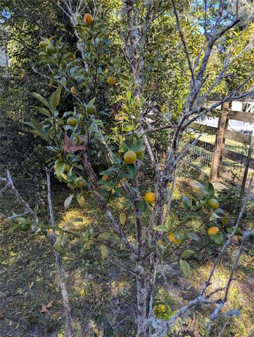 397 SE 902ND STREET, Old Town, FL 32680