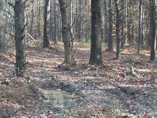 360 Bootleg Bend, Guild, TN 37340