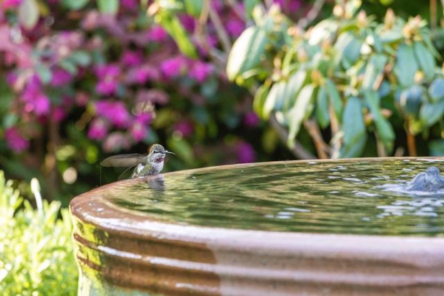 311 Linfield Drive, Menlo Park, CA 94025