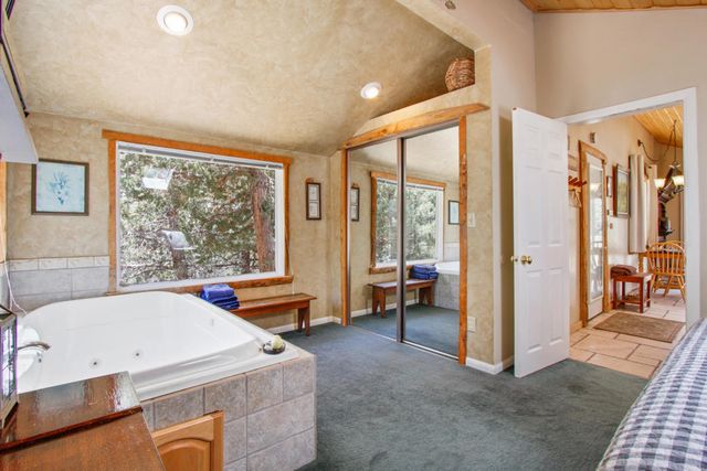 43630 Rainbow Lane, Angelus Oaks, CA 92305