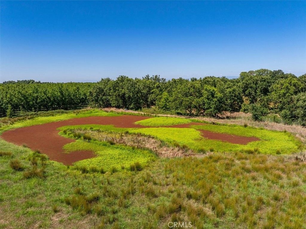 Image 64 of property listing at 10975 Shasta Boulevard, Los Molinos, CA 96055