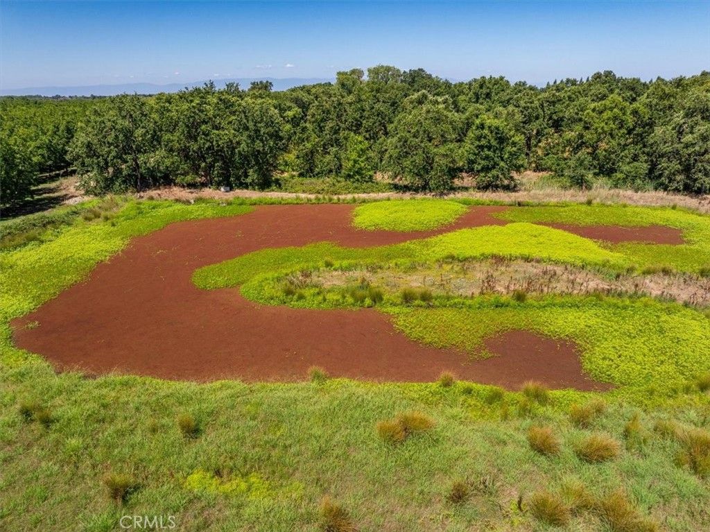 Image 65 of property listing at 10975 Shasta Boulevard, Los Molinos, CA 96055