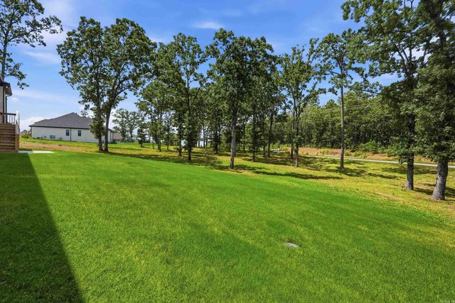 2940 Orchard View Drive, Conway, AR 72034