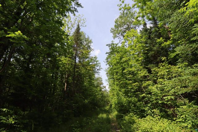 82XXX Lenawee Rd, Herbster, WI 54844