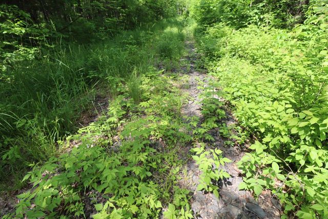 82XXX Lenawee Rd, Herbster, WI 54844