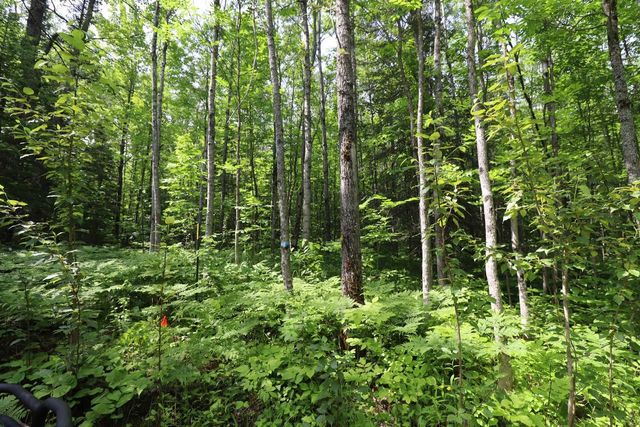 82XXX Lenawee Rd, Herbster, WI 54844
