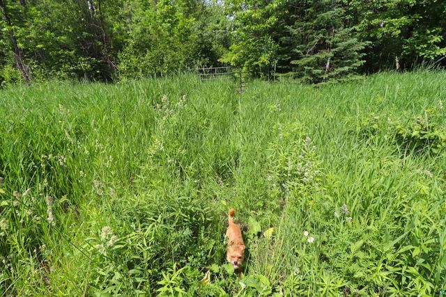82XXX Lenawee Rd, Herbster, WI 54844