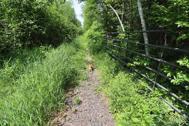 82XXX Lenawee Rd, Herbster, WI 54844