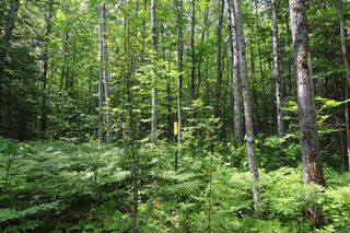 82XXX Lenawee Rd, Herbster, WI 54844