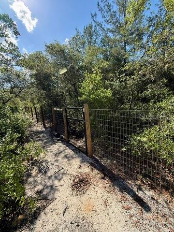 15920 NE 236TH LANE, Fort Mc Coy, FL 32134